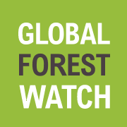OFFICIAL CALL FOR APPLICATIONS GLOBAL FOREST WATCH SMALL GRANTS FUND 2026