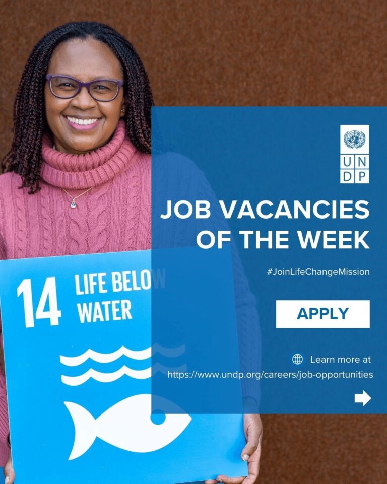 GLOBAL CAREER OPPORTUNITIES: UNITED NATIONS DEVELOPMENT PROGRAMME (UNDP) – 2026 RECRUITMENT CYCLE