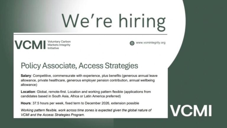 Remote Job with Voluntary Carbon Markets Integrity Initiative (VCMI)