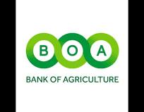 Apply to Bank of Agriculture (BOA) Limited Programmes