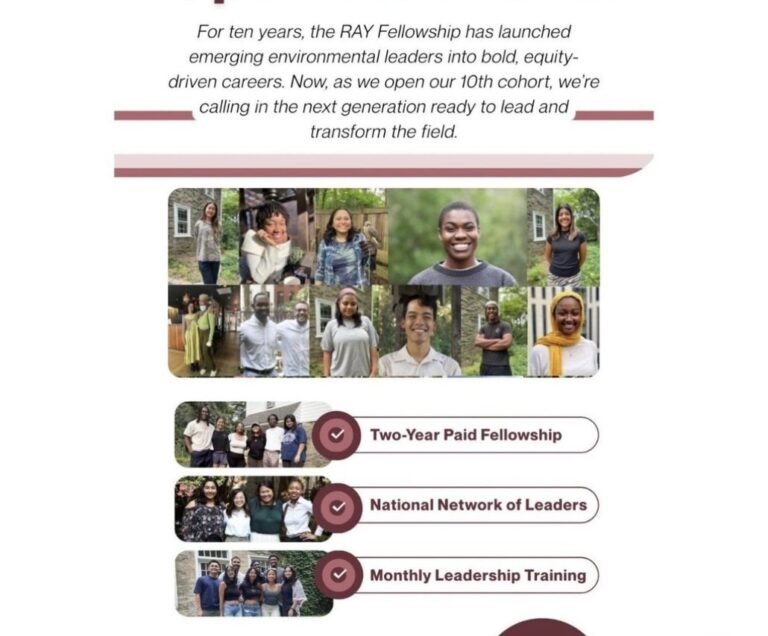 Apply to the RAY Fellowship