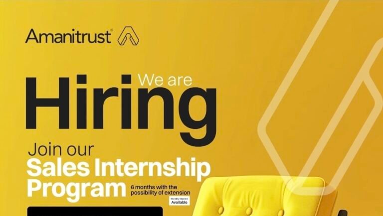 Sales Intern Abuja at Amani Global Limited