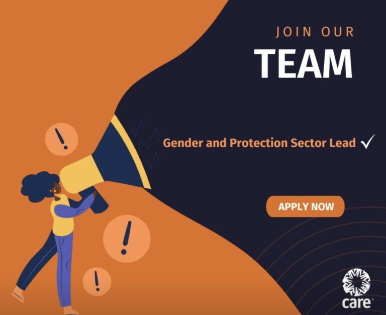 GENDER AND PROTECTION SECTOR LEAD With CARE Nigeria