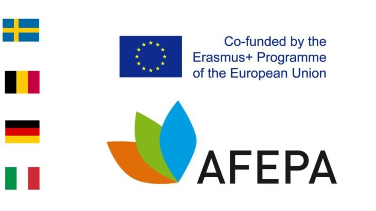 Apply to the AFEPA – European Master’s Scholarship Programme