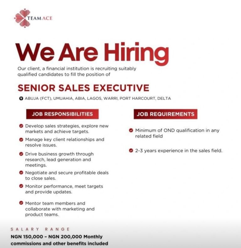 Job Vacancy: Senior Sales Executive at TeamAce