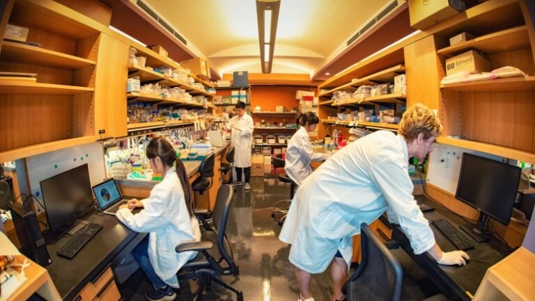 OIST Research Internship Program – STEM Fields