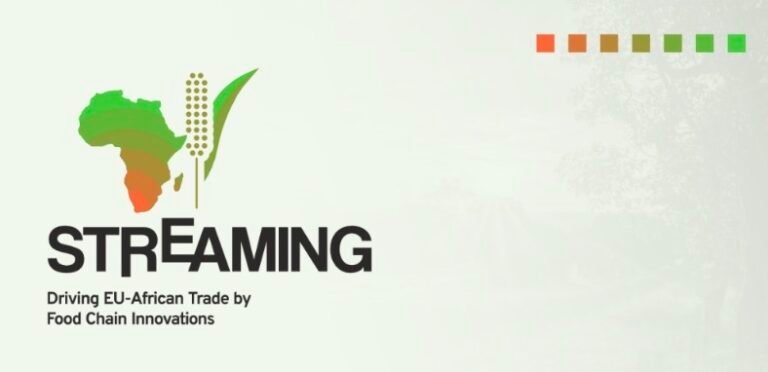 Open Call for Knowledge Transfer From STREAMING