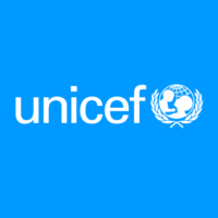 WASH Manager at UNICEF in Borno