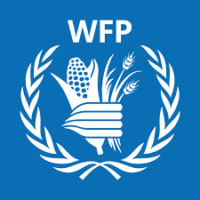 Monitoring Assistant G4 at World Food Programme (WFP)