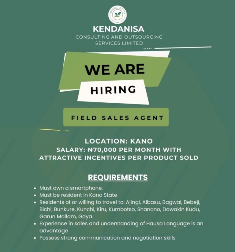 Job Opportunity at Kendanisa Consulting and Outsourcing Services Limited