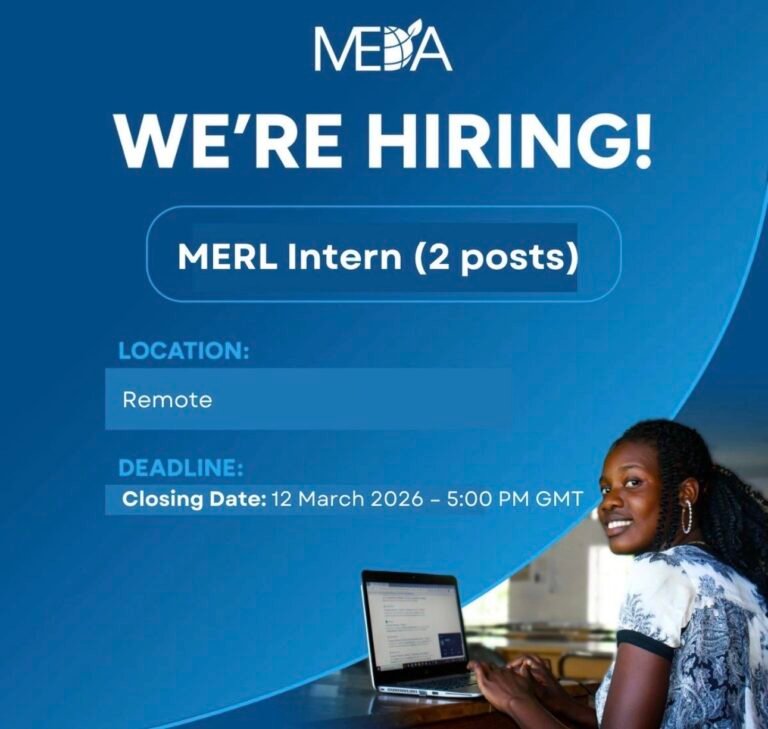Remote internship with MEDA