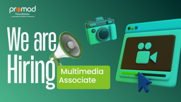 Multimedia Associate at PROMAD