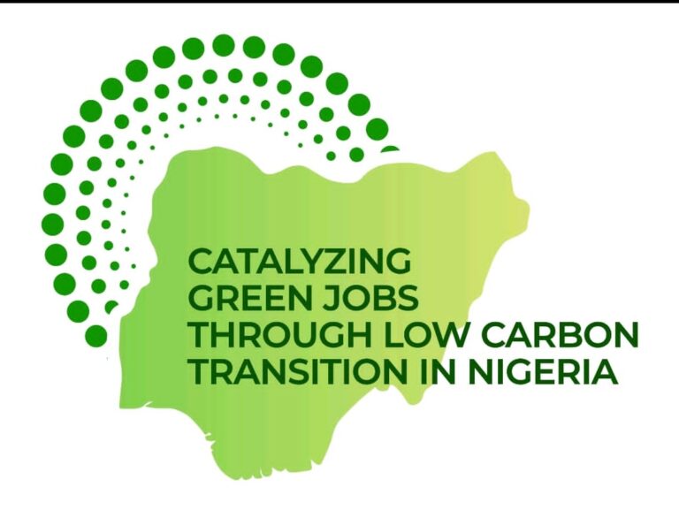 FG launches Youth Green Jobs Fellowship