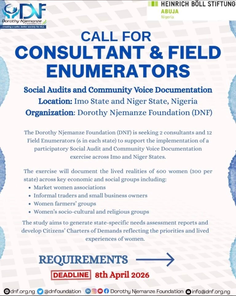 Dorothy Njemanze Foundation Vacancies