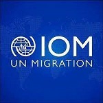 Deputy Chief of Mission (P) – International Organization for Migration (IOM)