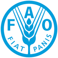 Procurement Officer – Food and Agriculture Organization of the United Nations (FAO)