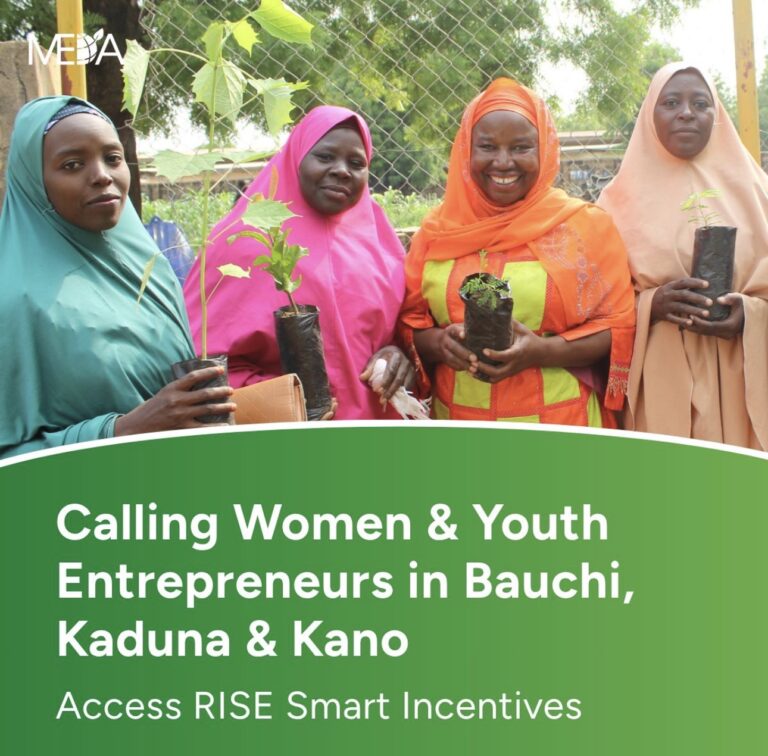 RISE Smart Incentives Programme