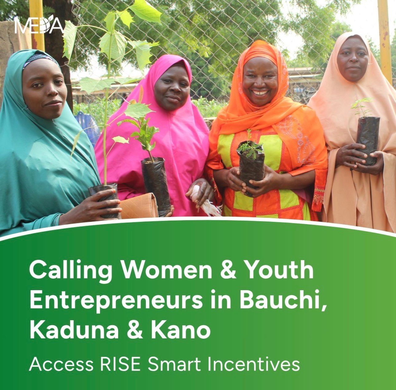 RISE Smart Incentives Programme