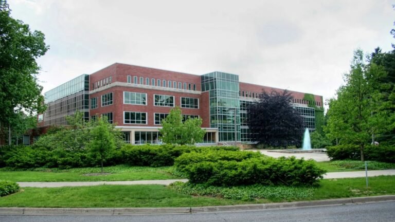 Michigan State University Scholarship