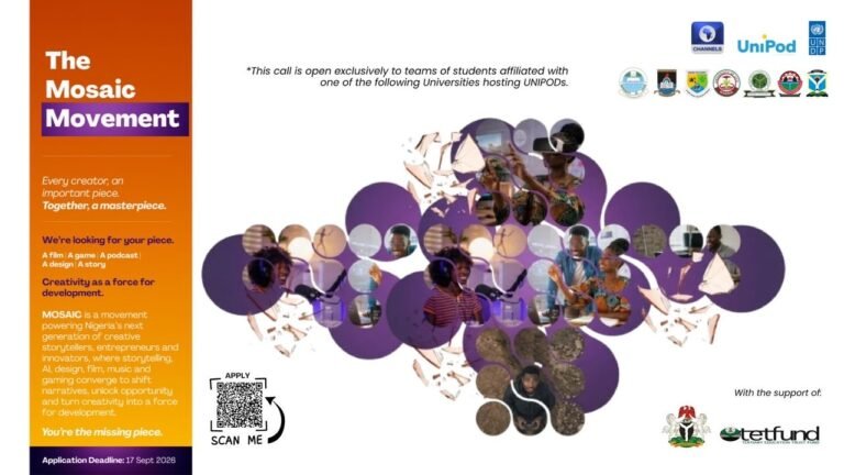 UNDP MOSAIC