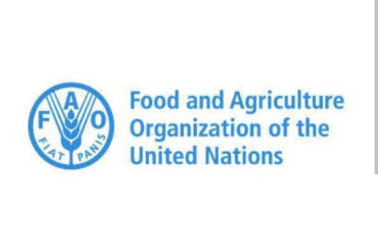 UN FAO