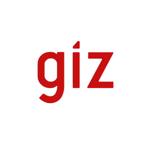 TECHNICAL ADVISOR with GIZ NIGERIA
