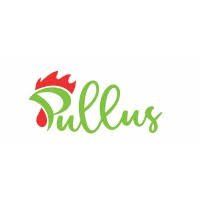PULLUS AFRICA LOGO