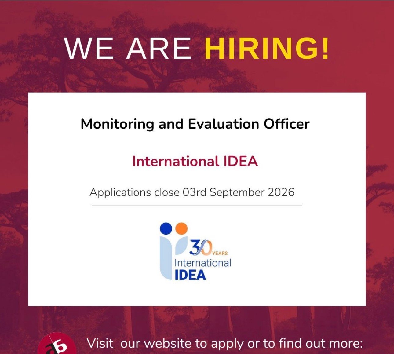 INTERNATIONAL IDEA JOB