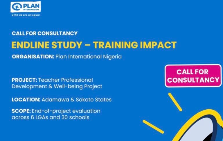 Plan international job