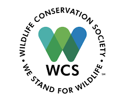 Wcs ngo