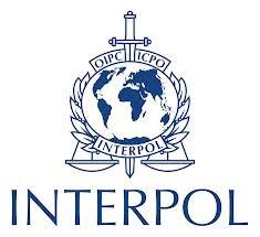 Interpol internship