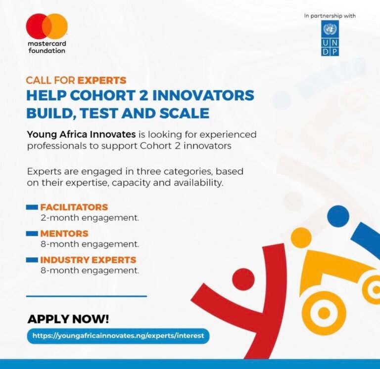 CALL FOR EXPERTS AT YOUNG AFRICA INNOVATES